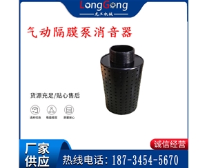 氣動(dòng)隔膜泵消音器 94810 適用于BQG-350/0.2，BQG-450/0.2機(jī)型