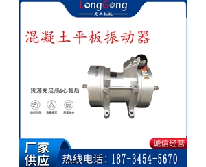 混凝土平板振動(dòng)器 220V/380V 平板器 建筑用平板振動(dòng)器 全銅電機(jī)